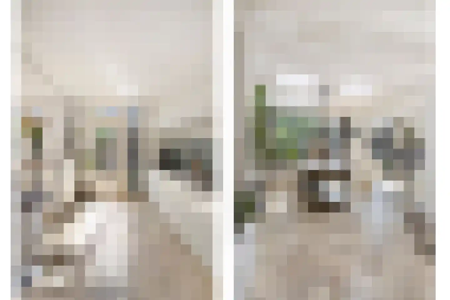 Nassaustraat 5 Waalre thumbnail 15