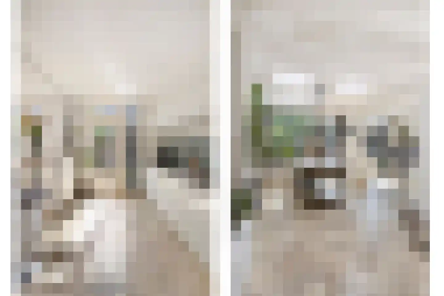 Nassaustraat 5 Waalre thumbnail 15