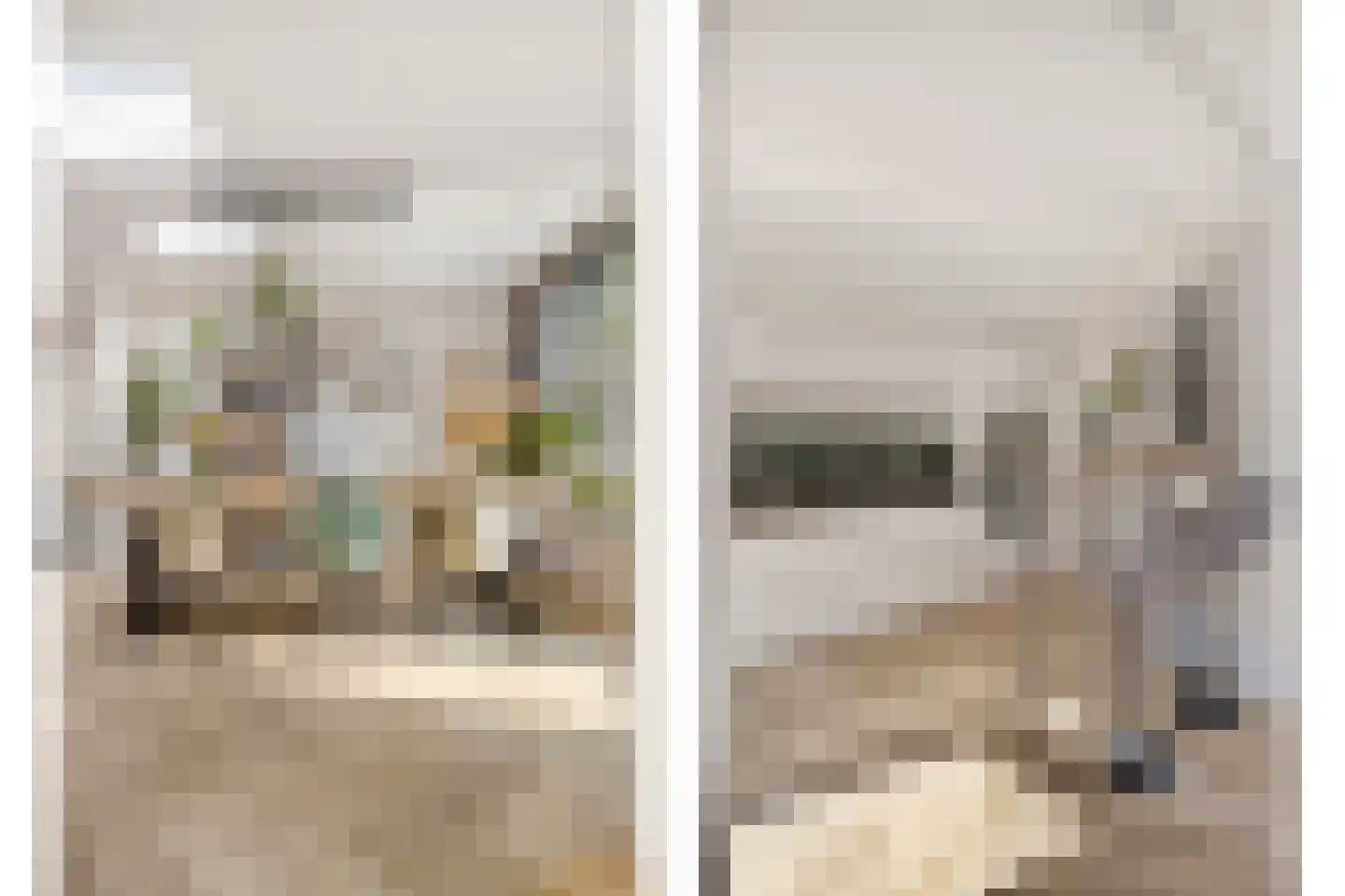 Nassaustraat 5 Waalre thumbnail 16
