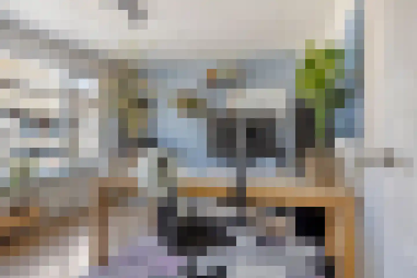 Nassaustraat 5 Waalre thumbnail 24