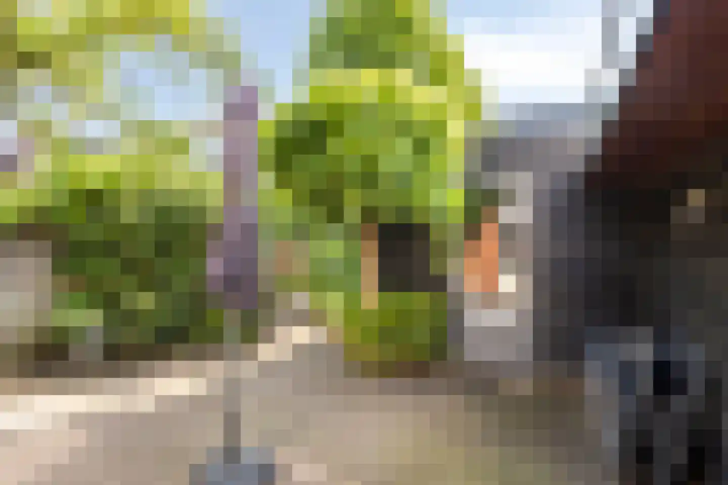 Nassaustraat 5 Waalre thumbnail 31