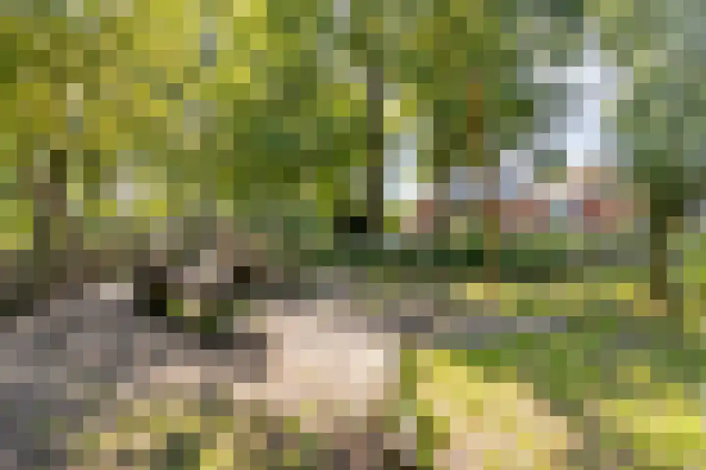 Nassaustraat 5 Waalre thumbnail 37