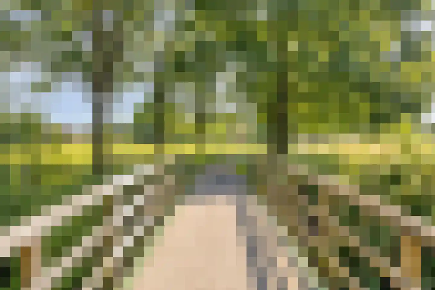 Nassaustraat 5 Waalre thumbnail 38