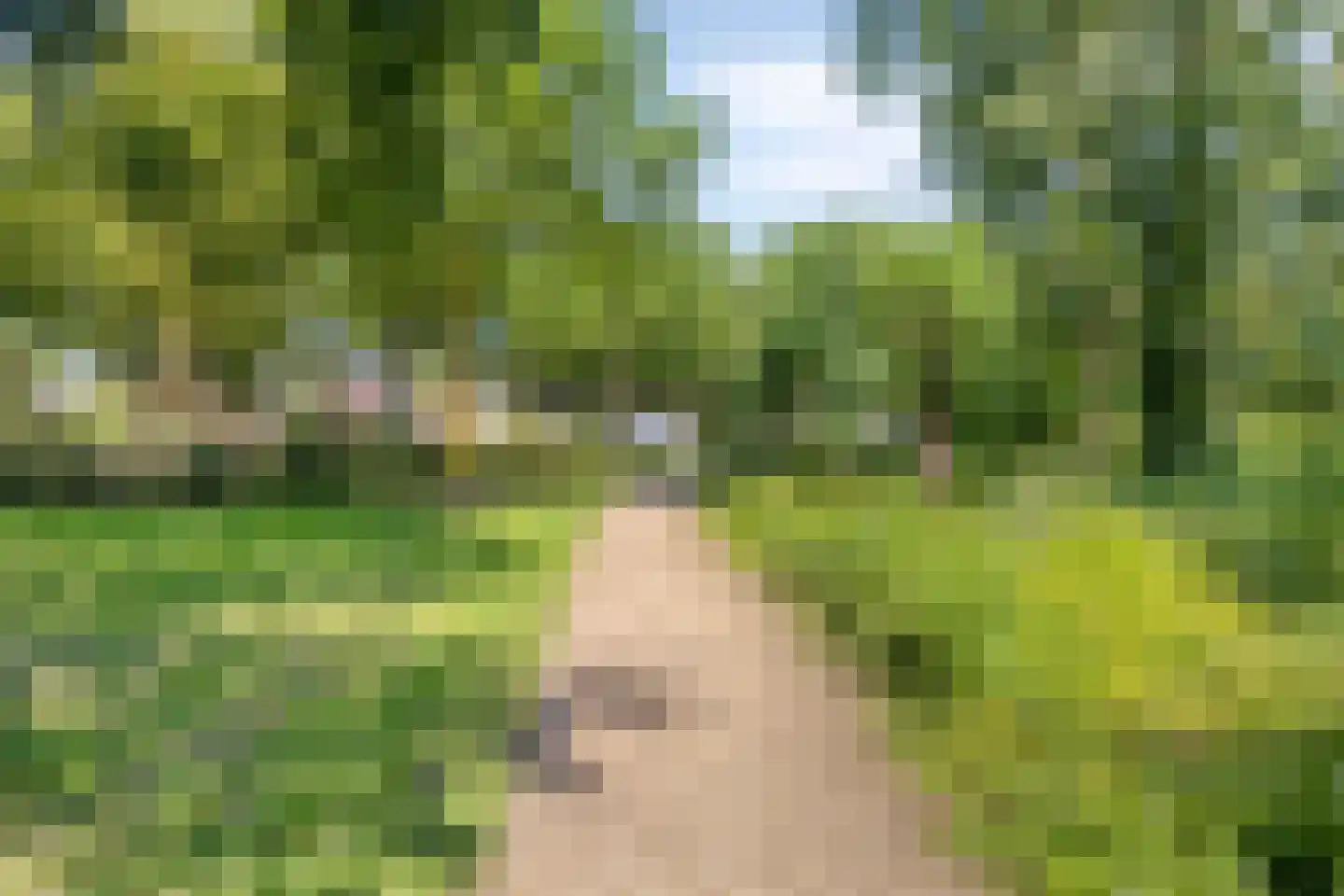 Nassaustraat 5 Waalre thumbnail 39