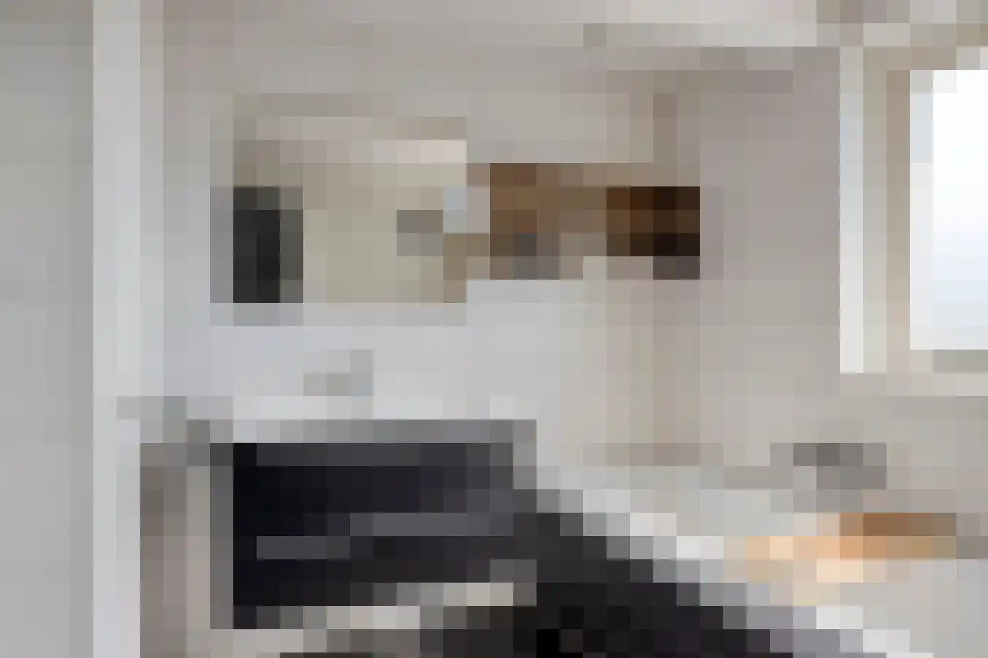 Nassaustraat 5 Waalre thumbnail 4