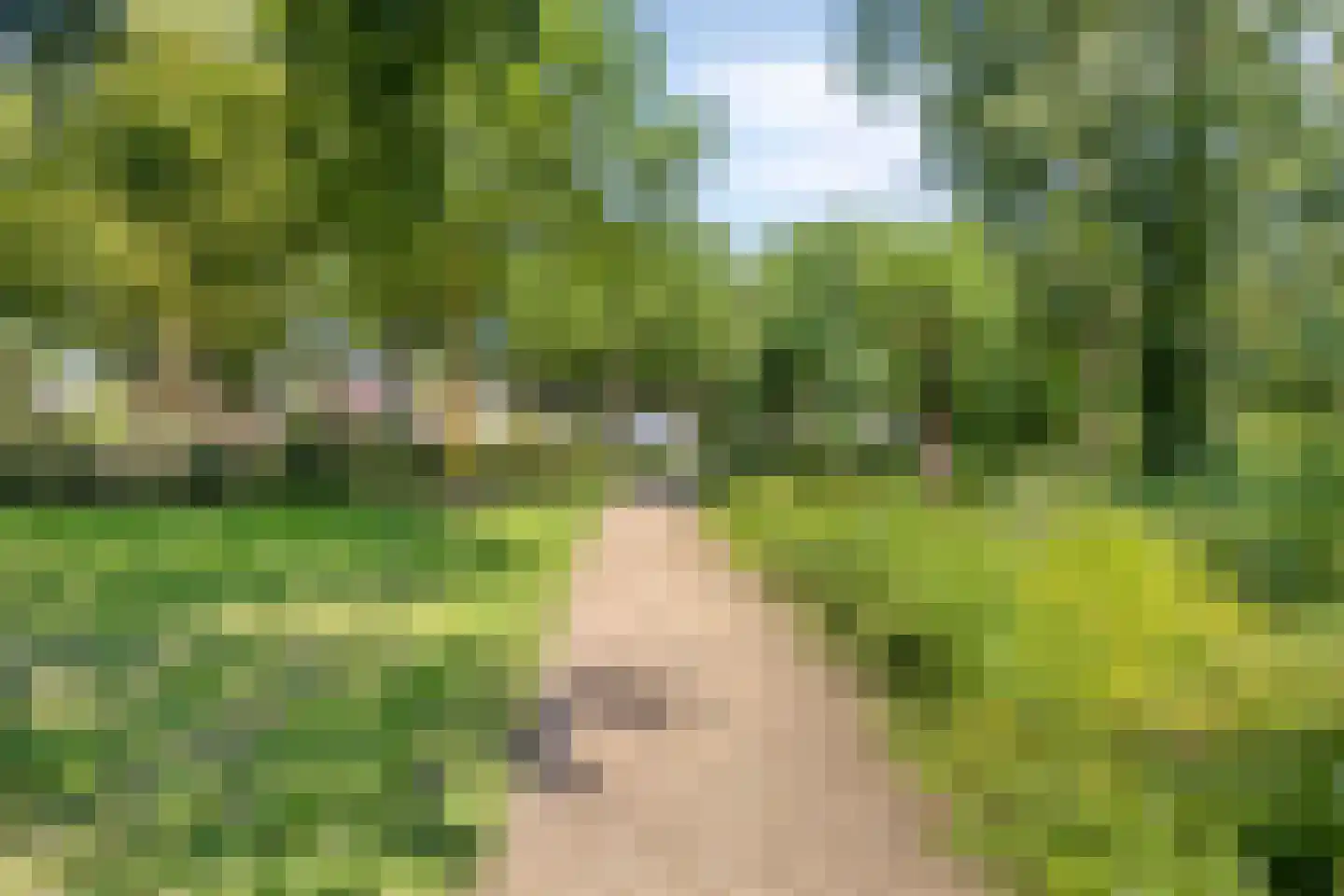 Nassaustraat 5 Waalre thumbnail 41