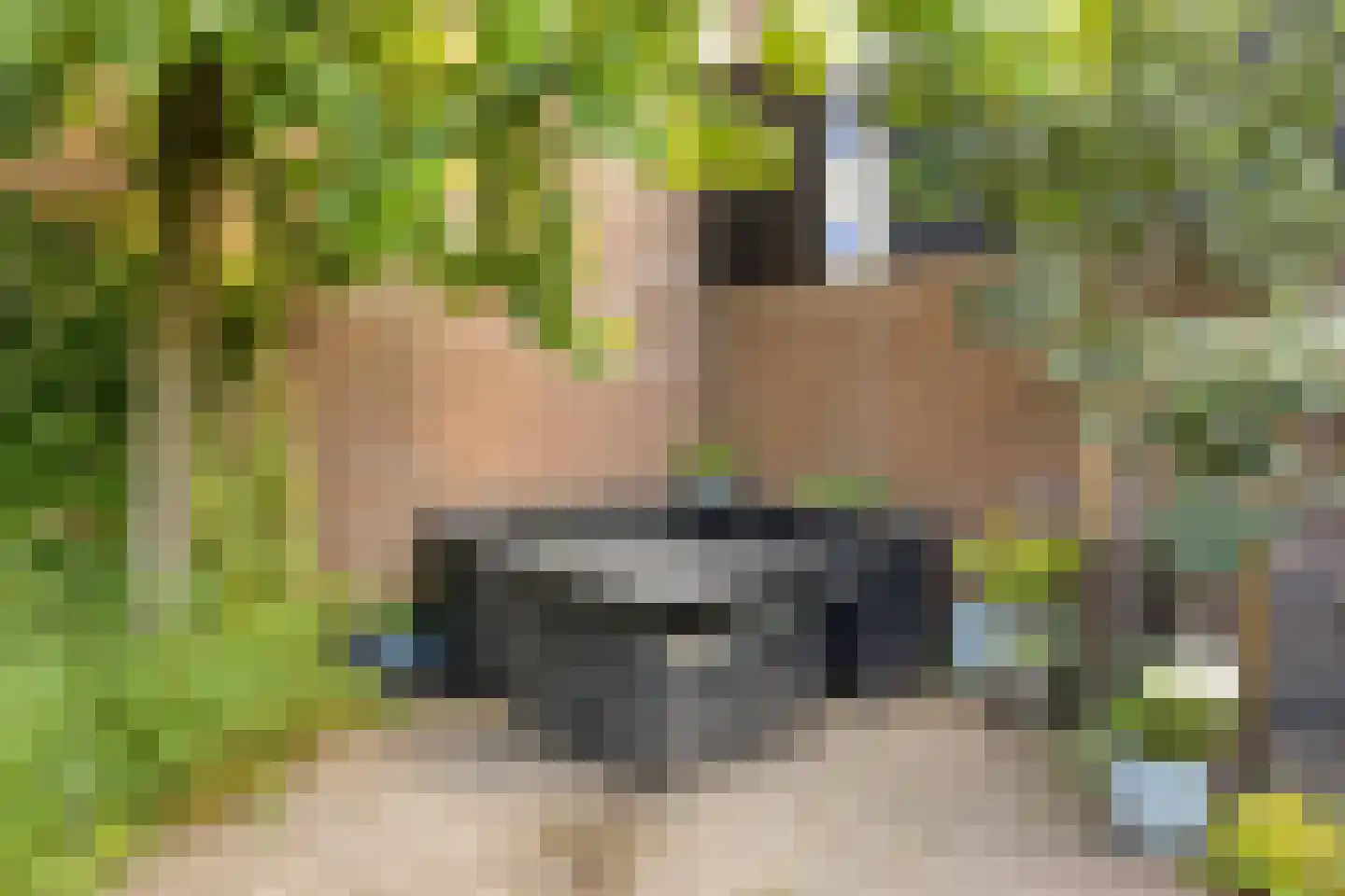 Nassaustraat 5 Waalre thumbnail 45