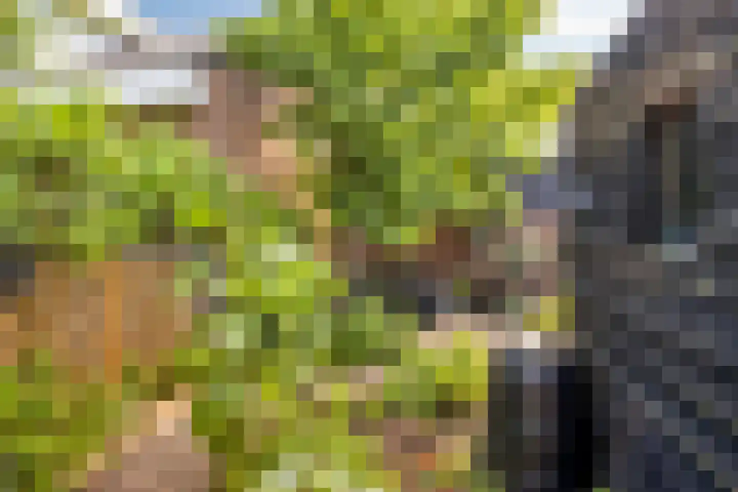 Nassaustraat 5 Waalre thumbnail 5