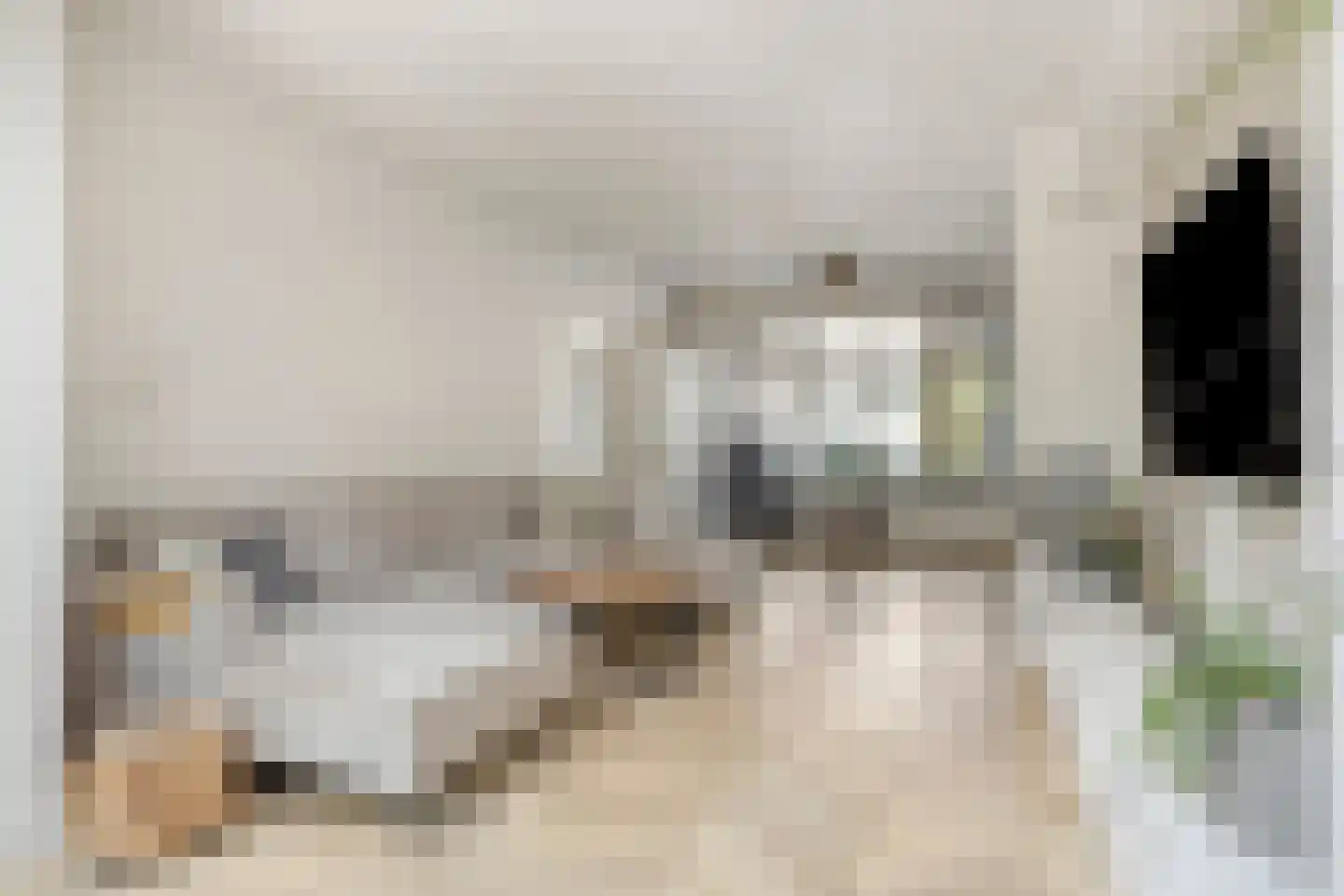Nassaustraat 5 Waalre thumbnail 8