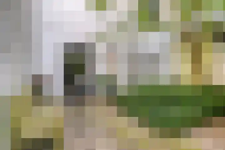 Nassaustraat 51 Breda thumbnail 31