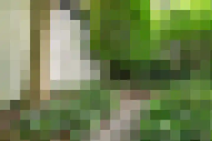 Nassaustraat 51 Breda thumbnail 33