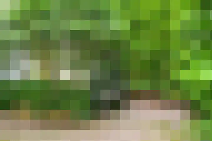 Nassaustraat 51 Breda thumbnail 34
