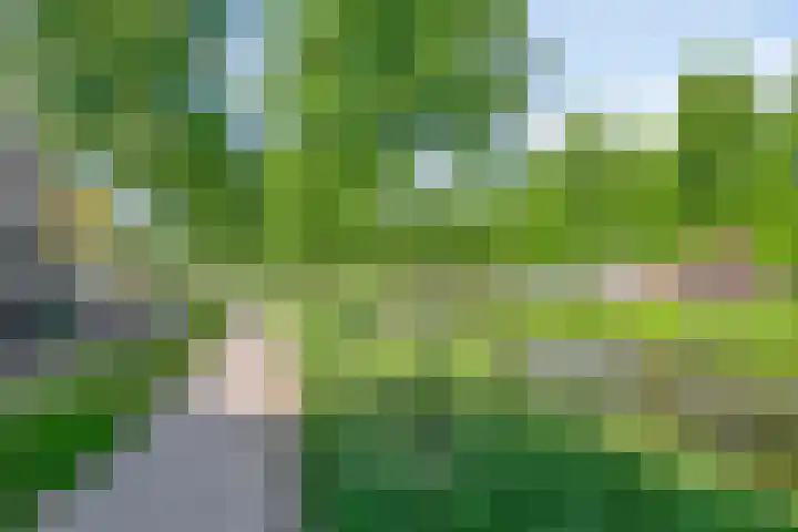 Nassaustraat 51 Breda thumbnail 39