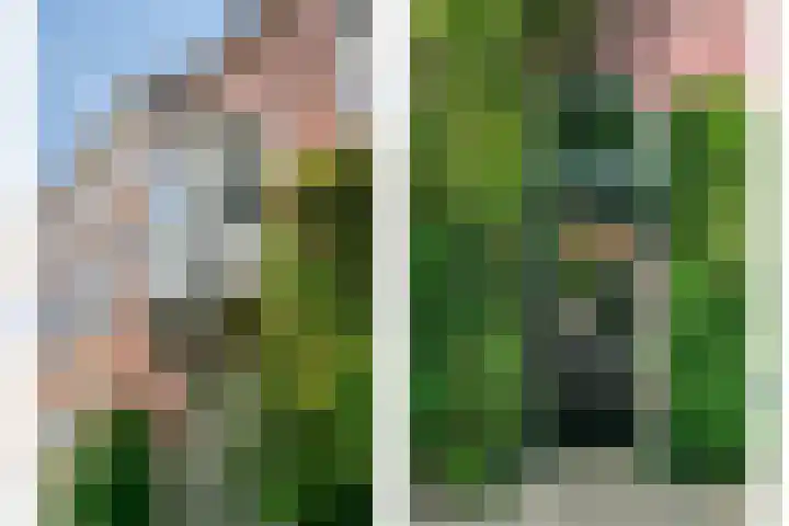 Nassaustraat 51 Breda thumbnail 5