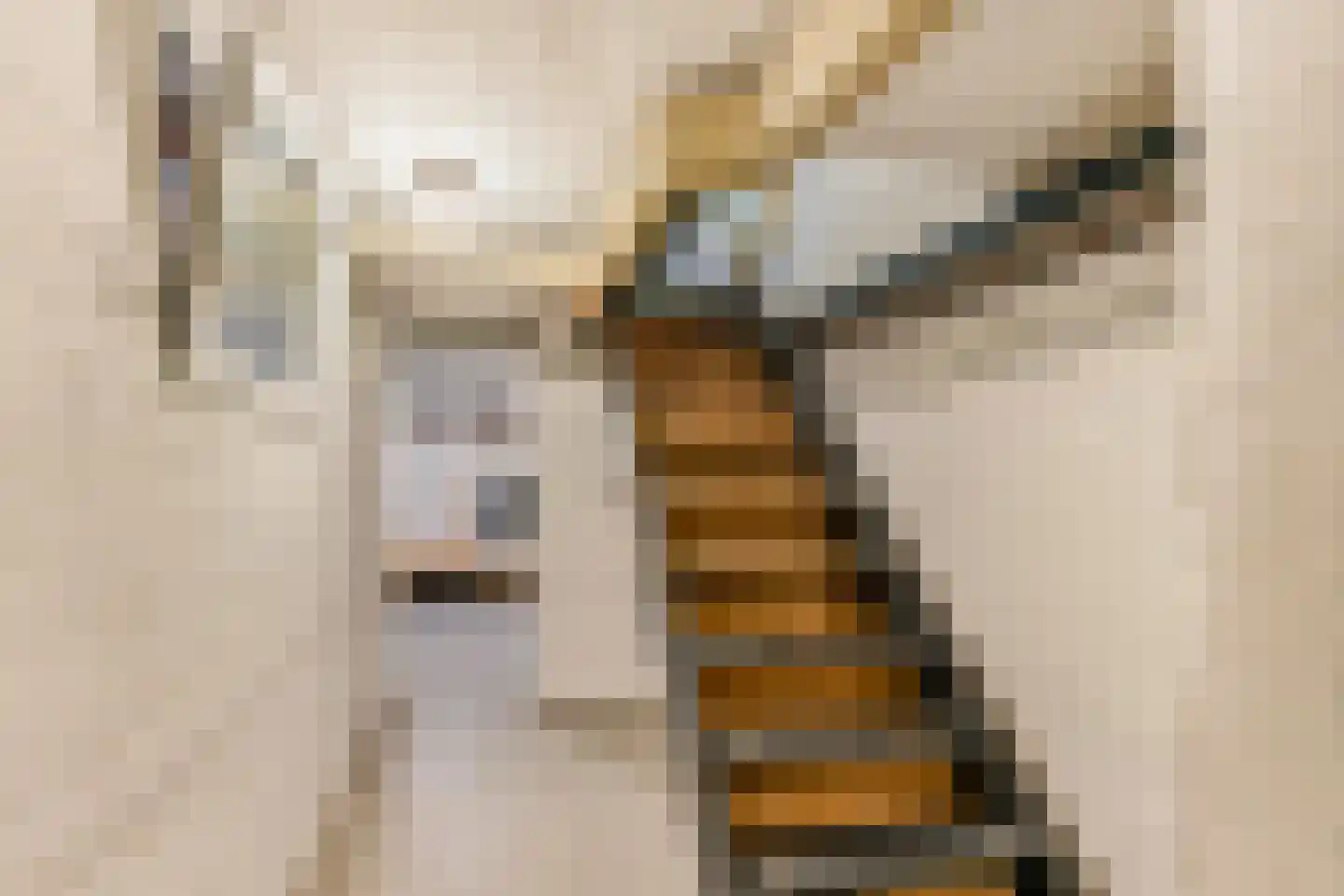 Nassaustraat 53 Venlo thumbnail 33