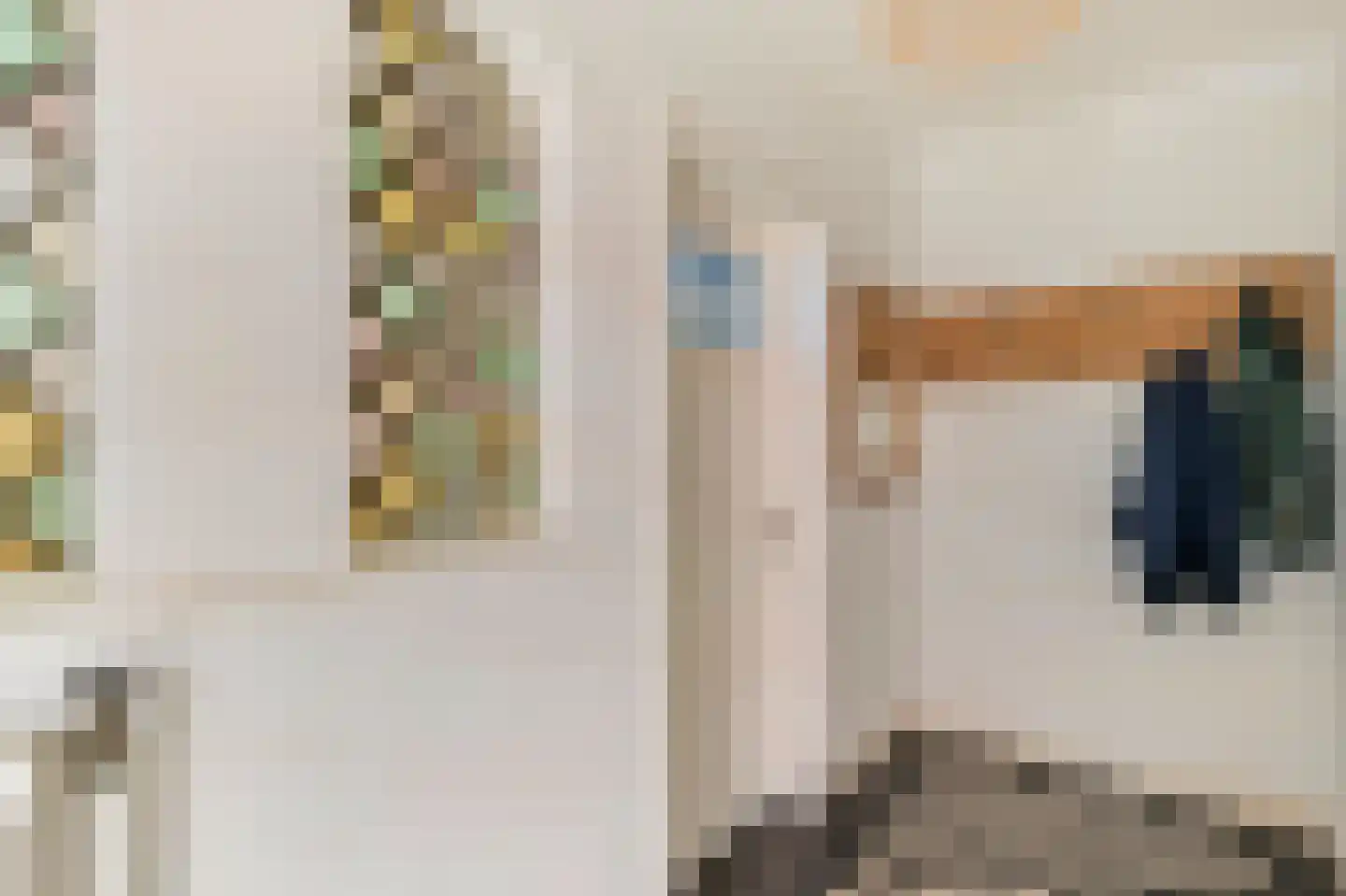 Nassaustraat 53 Venlo thumbnail 6
