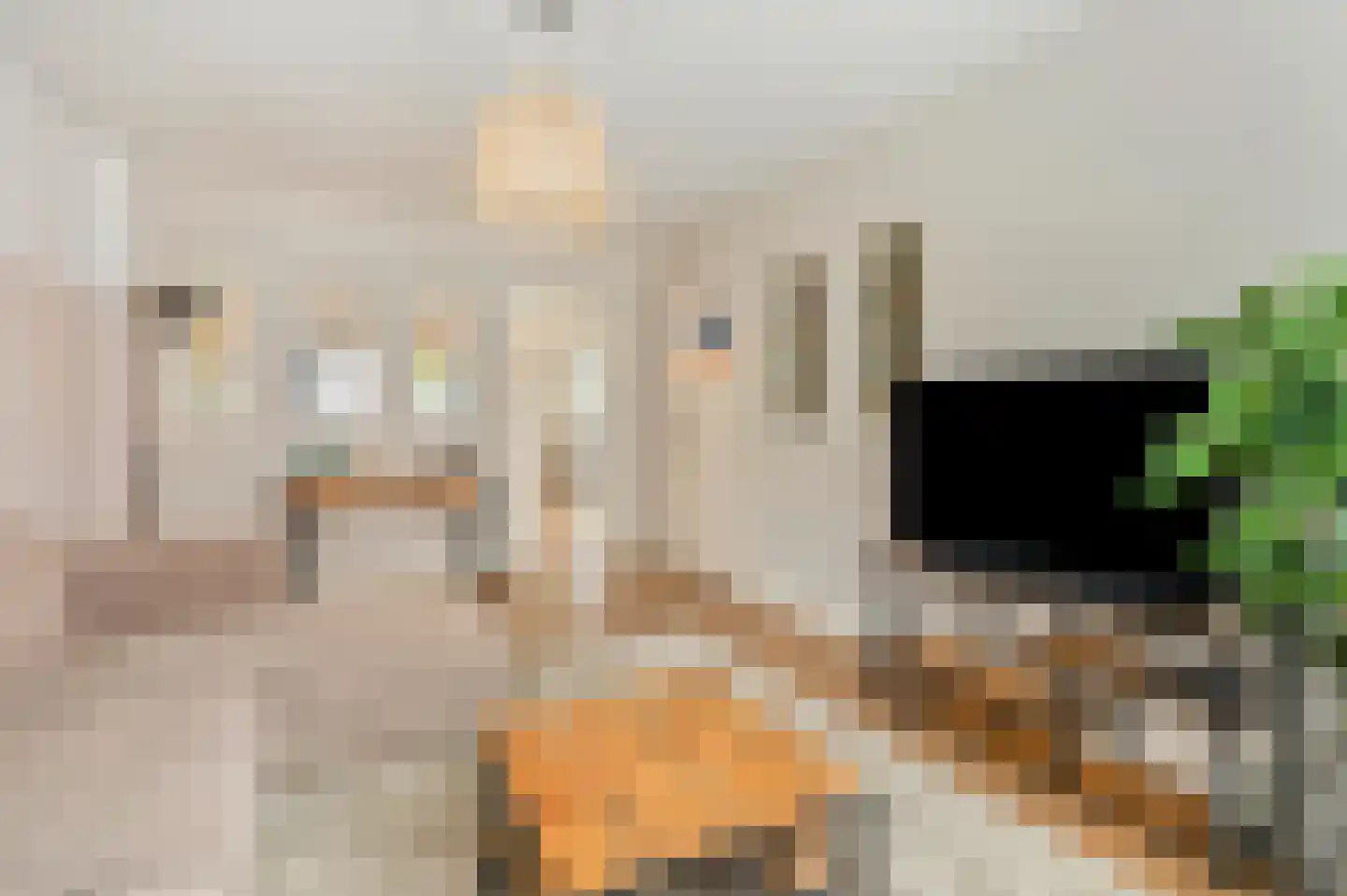 Nassaustraat 53 Venlo thumbnail 9