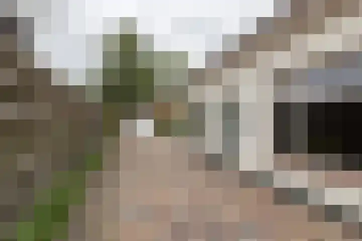 Nassaustraat 55 Winschoten thumbnail 12