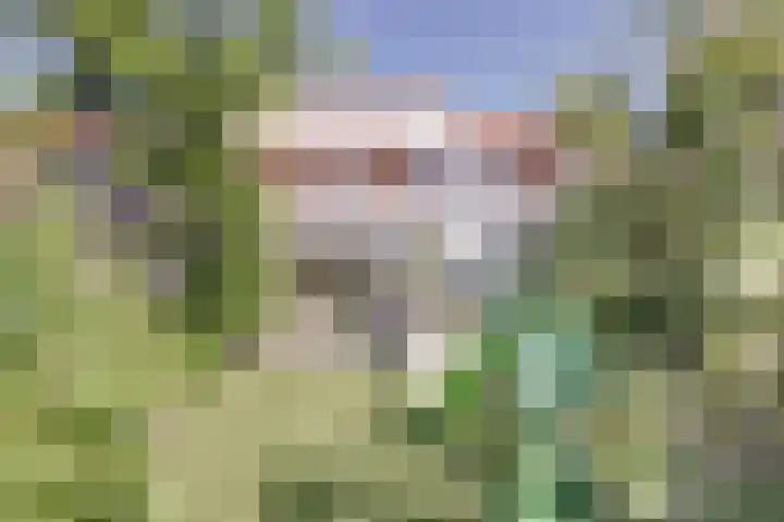 Nassaustraat 59 Ridderkerk thumbnail 33