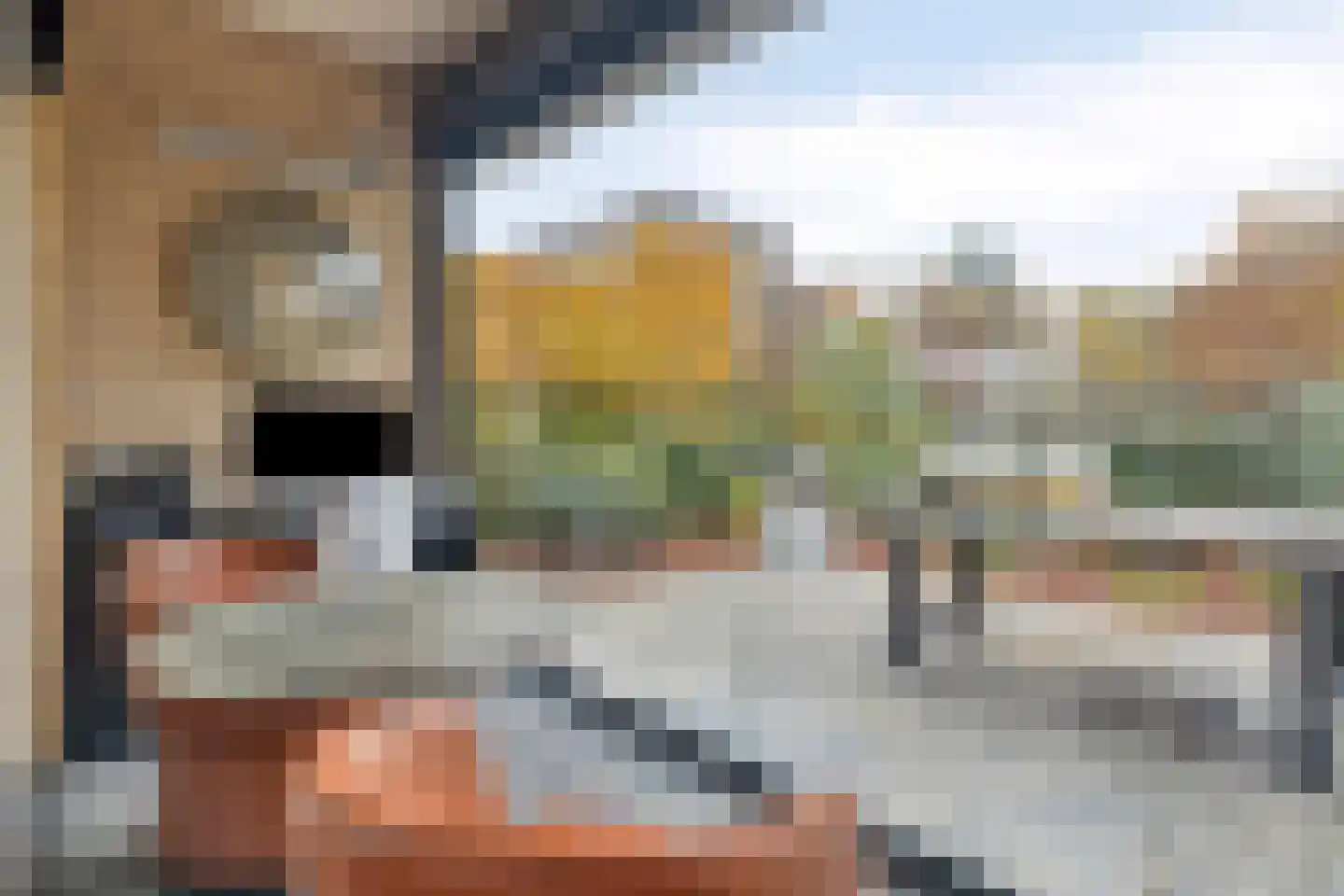 Nassaustraat 6 Axel thumbnail 10