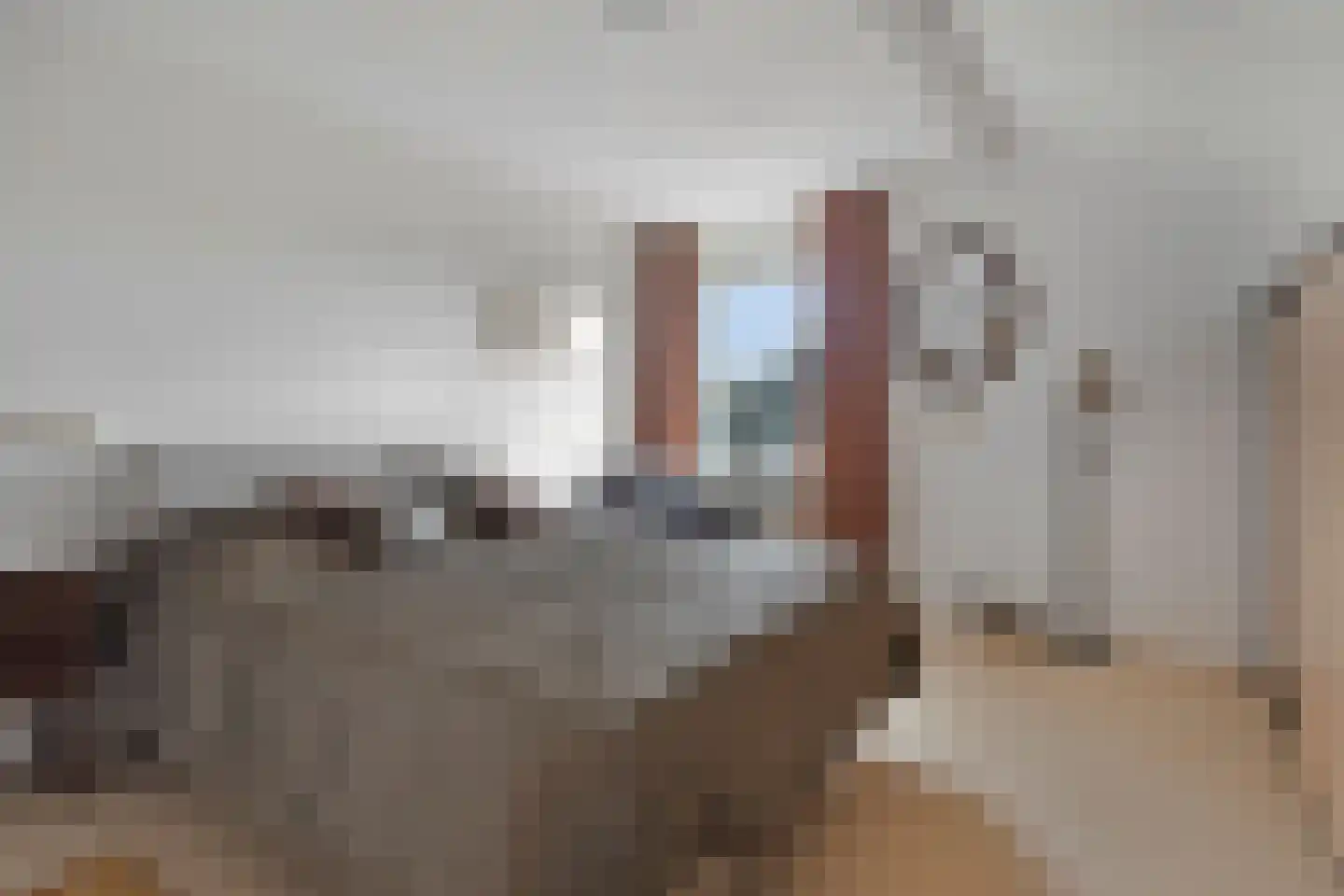 Nassaustraat 6 Axel thumbnail 25