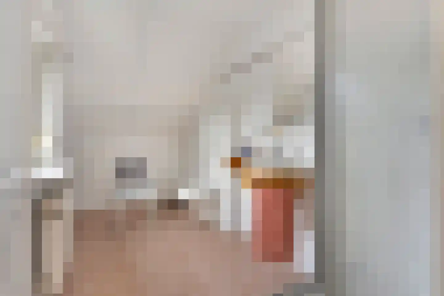 Nassaustraat 6 Axel thumbnail 27