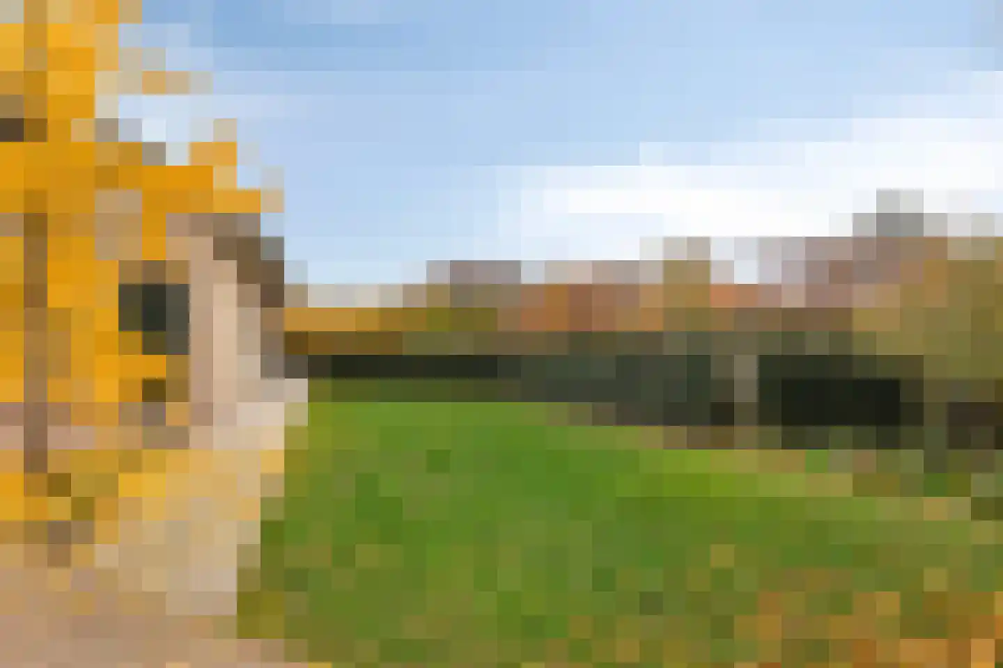 Nassaustraat 6 Axel thumbnail 31