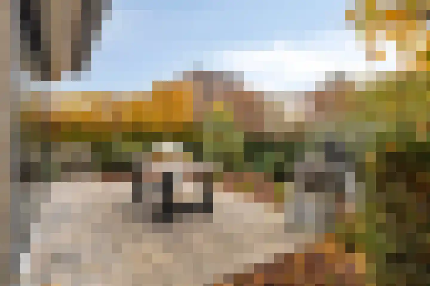 Nassaustraat 6 Axel thumbnail 37