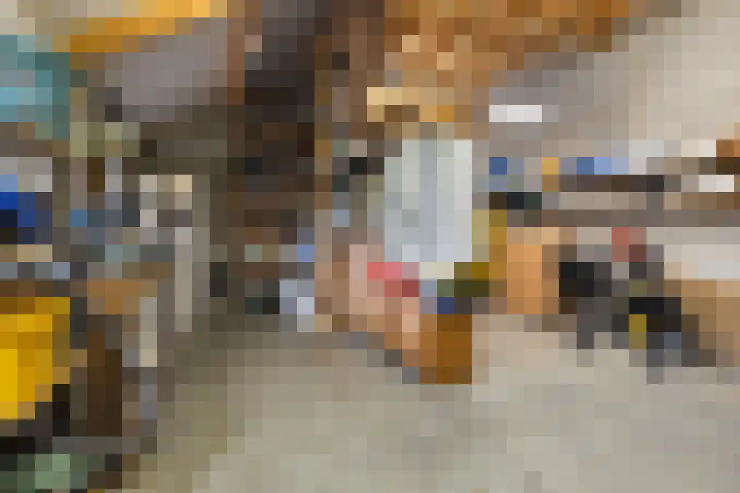 Nassaustraat 6 Axel thumbnail 38