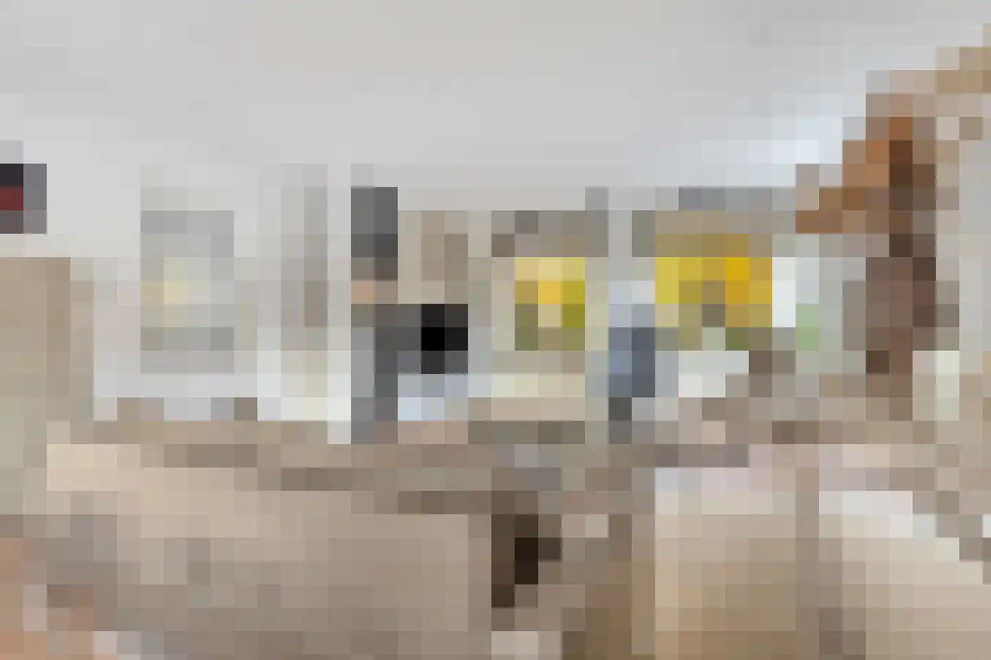 Nassaustraat 6 Axel thumbnail 5