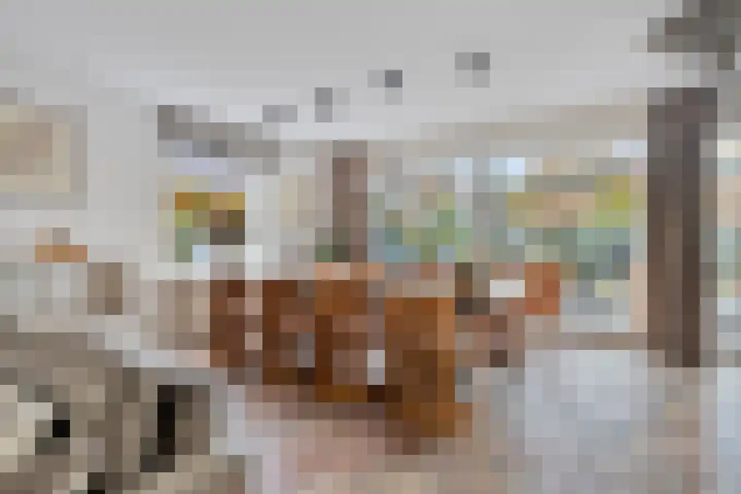 Nassaustraat 6 Axel thumbnail 7