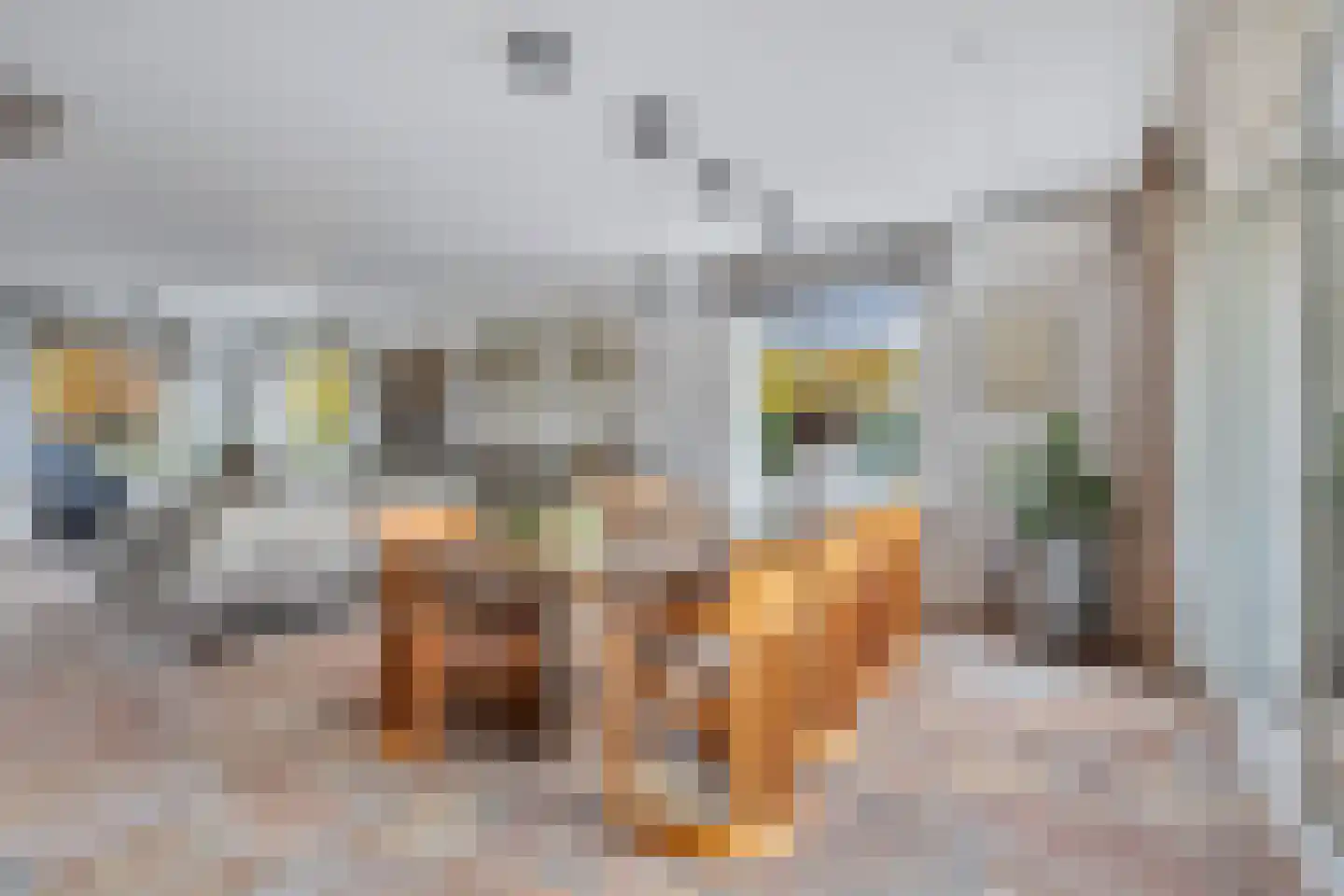Nassaustraat 6 Axel thumbnail 8