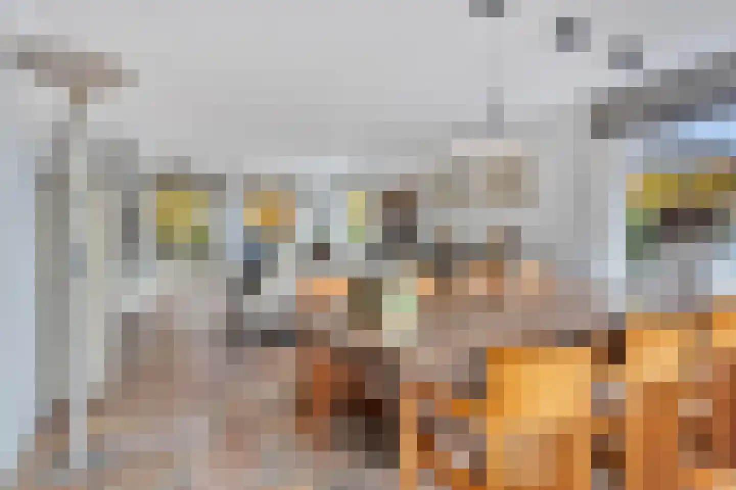 Nassaustraat 6 Axel thumbnail 9