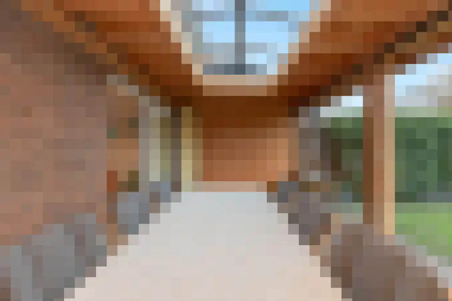 Nassaustraat 6 Barendrecht thumbnail 47