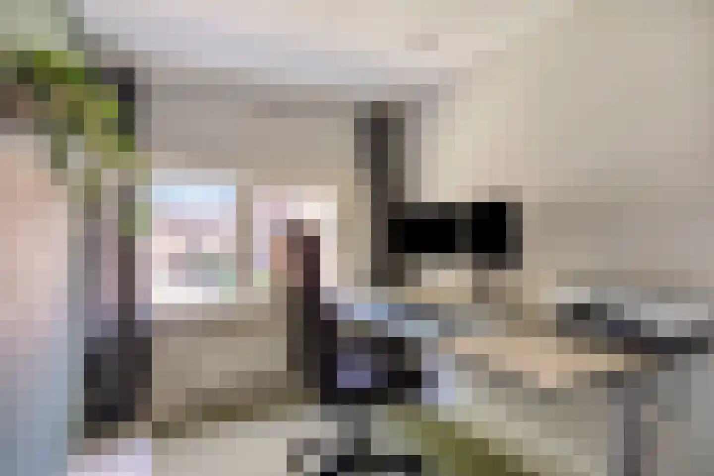 Nassaustraat 6 Oosterhout thumbnail 33