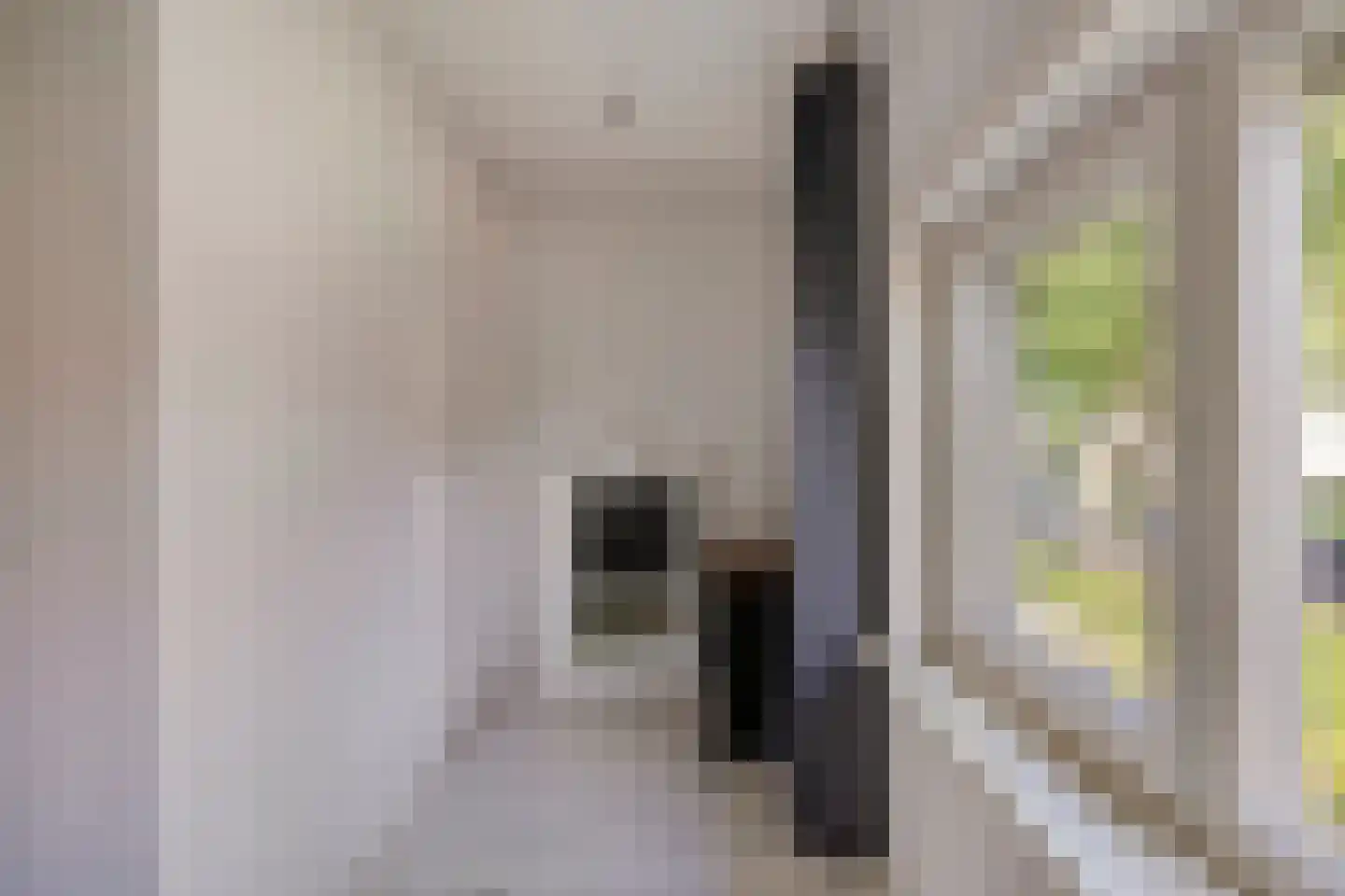 Nassaustraat 6 Oosterhout thumbnail 36