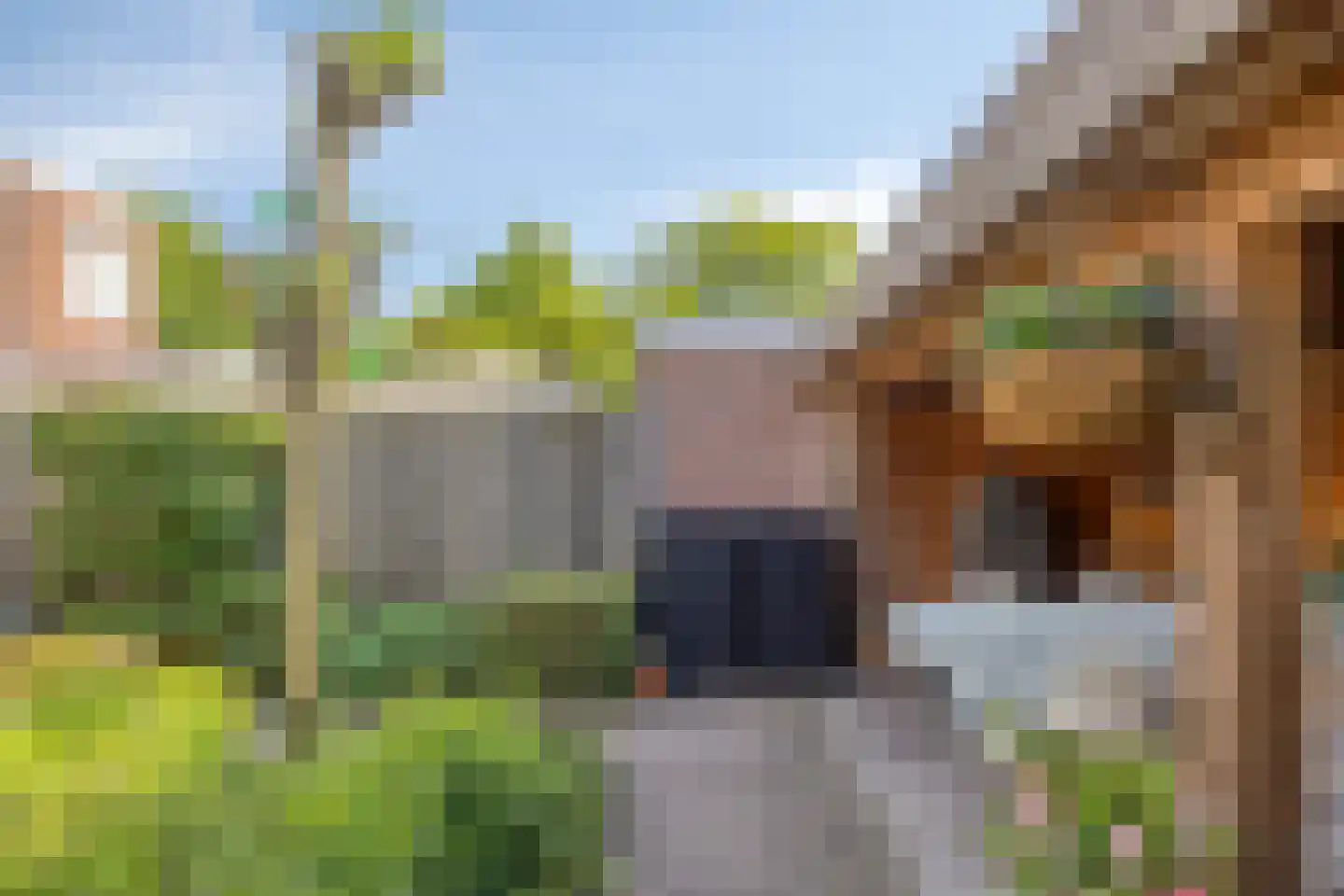 Nassaustraat 6 Oosterhout thumbnail 43