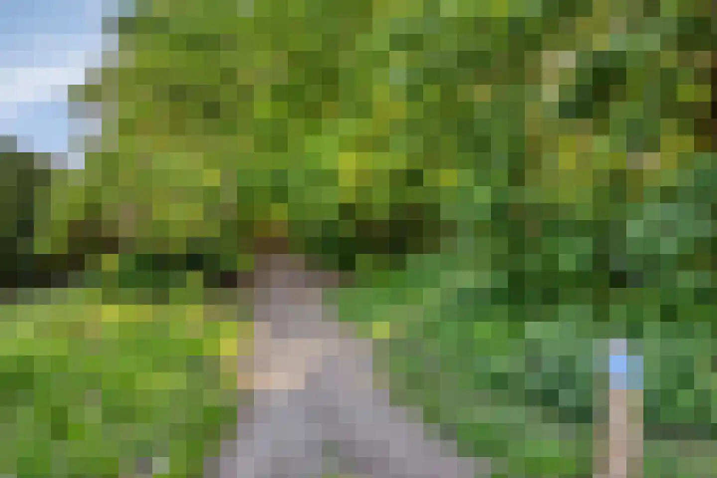 Nassaustraat 6 Oosterhout thumbnail 51