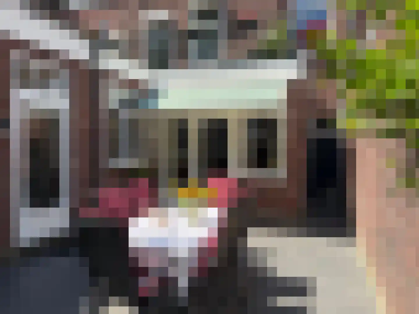 Nassaustraat 6 Venlo thumbnail 17