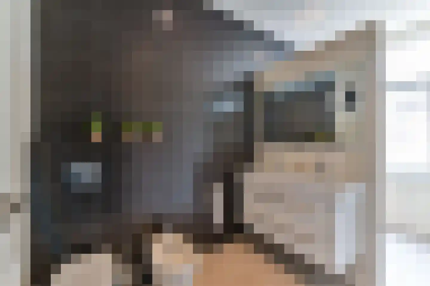 Nassaustraat 6 Venlo thumbnail 20