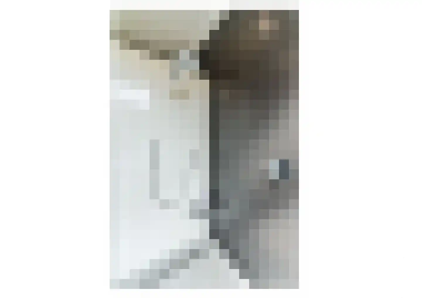 Nassaustraat 6 Venlo thumbnail 21