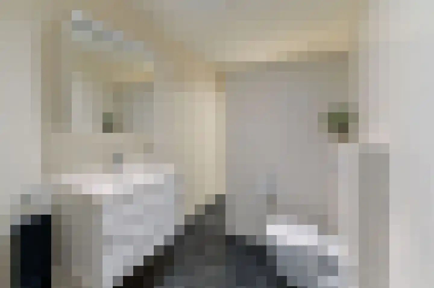 Nassaustraat 6 Venlo thumbnail 30