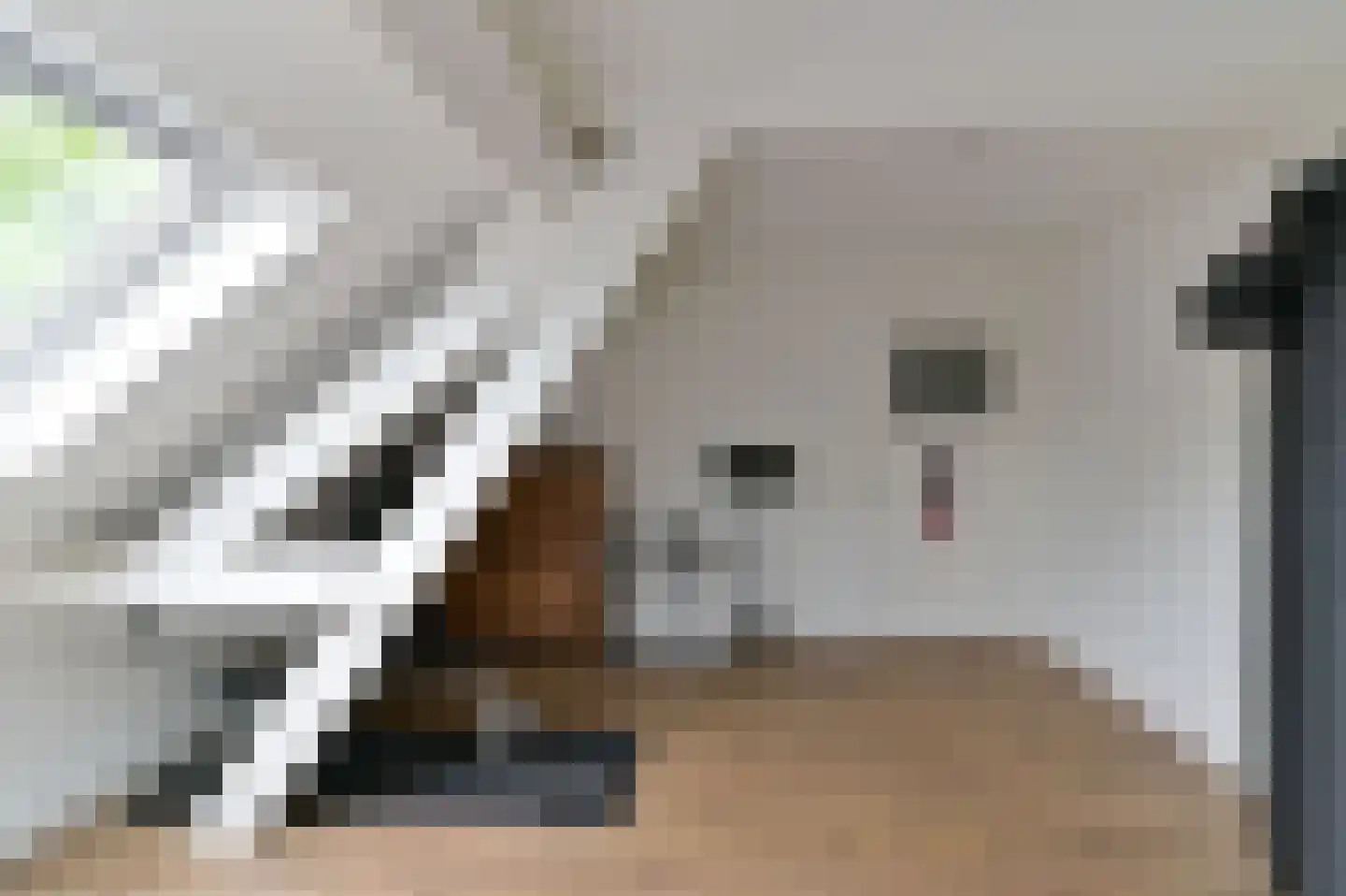Nassaustraat 6 Venlo thumbnail 31