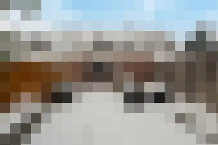 Nassaustraat 67 Ridderkerk thumbnail 34