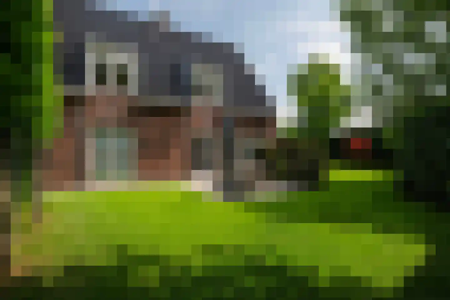 Nassaustraat 7 Barendrecht thumbnail 34