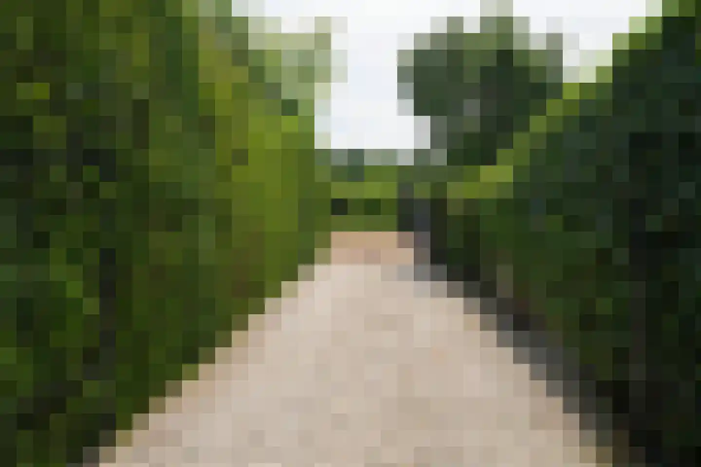 Nassaustraat 7 Barendrecht thumbnail 8
