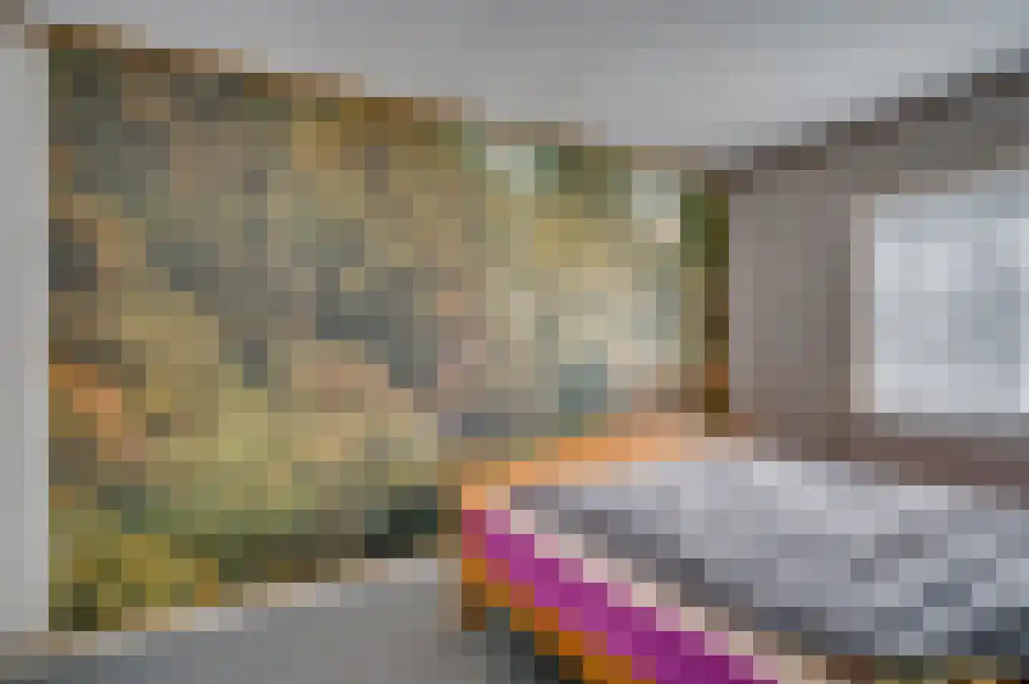 Nassaustraat 7 Belfeld thumbnail 7
