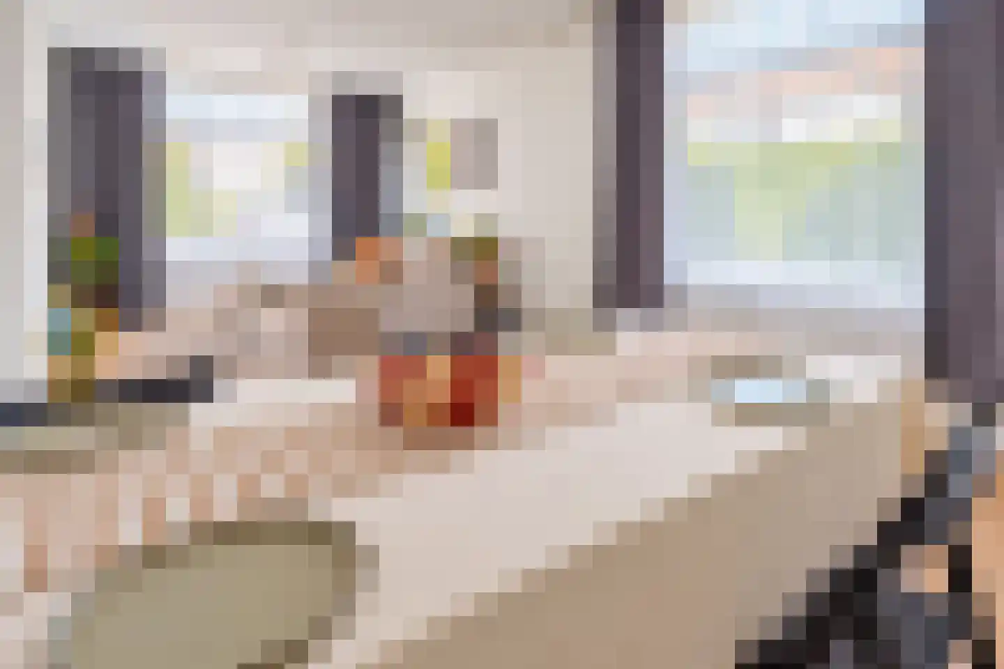 Nassaustraat 7 Velp thumbnail 11
