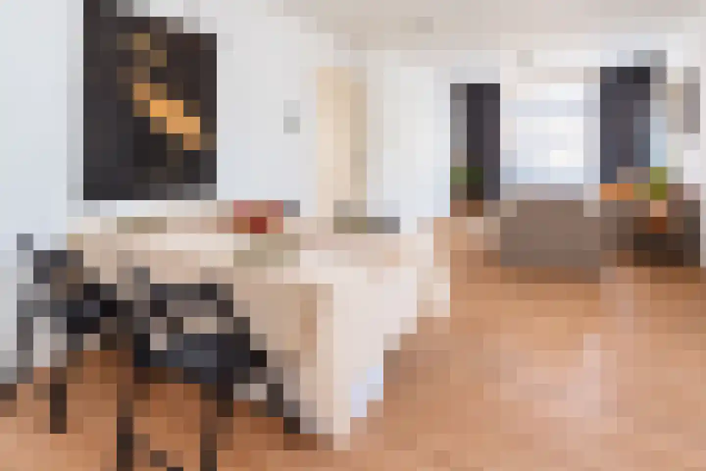 Nassaustraat 7 Velp thumbnail 15