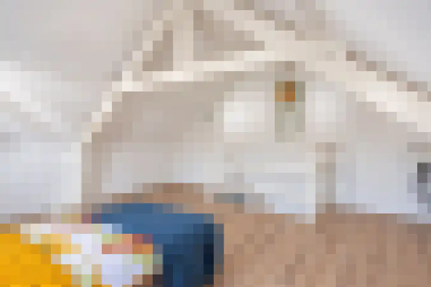 Nassaustraat 7 Velp thumbnail 28